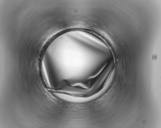 X0000093101356200710241212
