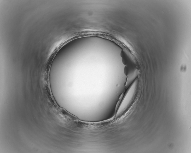 X0000093101357200710241212