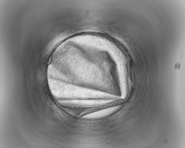 X0000093101359200710241212
