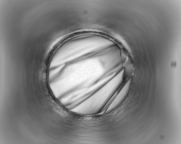 X0000093101360200710241212