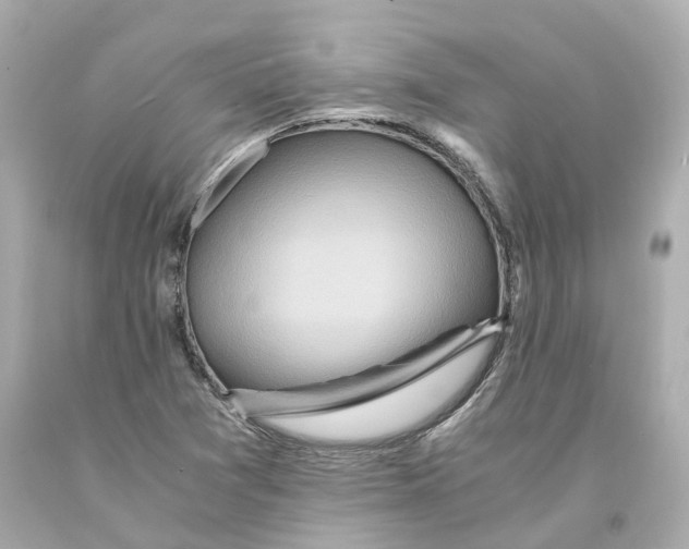 X0000093101361200710241212