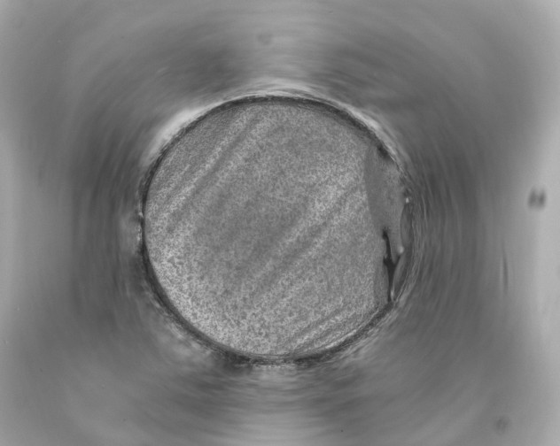 X0000093101363200710241212