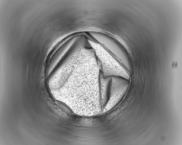 X0000093101364200710241212