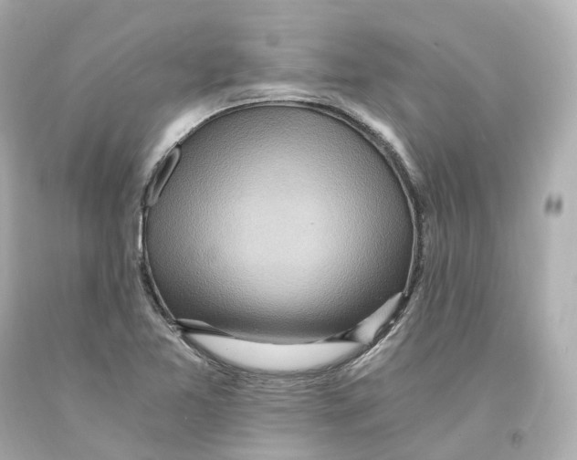 X0000093101365200710241212