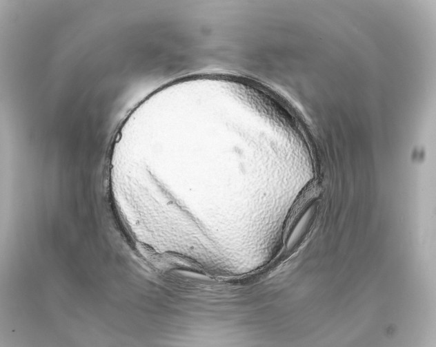 X0000093101367200710241212