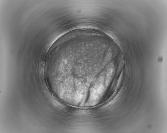X0000093101369200710241212