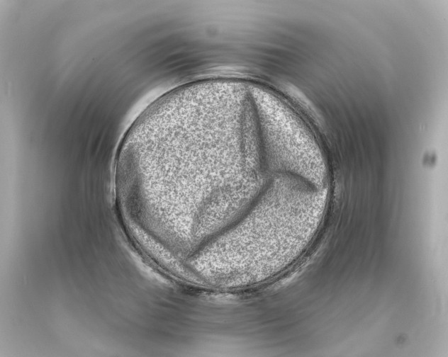 X0000093101370200710241212