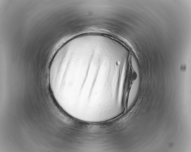 X0000093101371200710241212