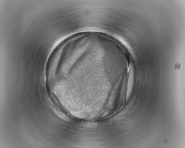 X0000093101372200710241212
