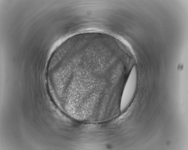 X0000093101373200710241212