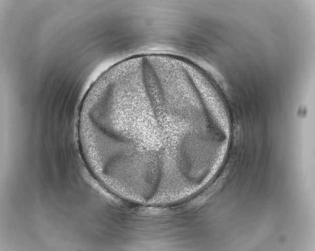 X0000093101374200710241212