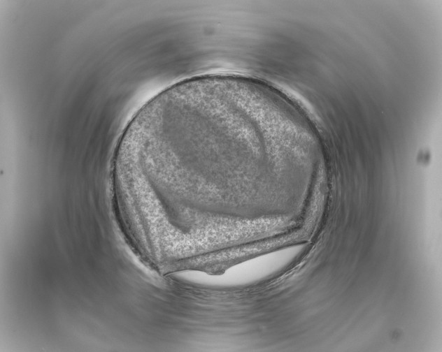X0000093101375200710241212