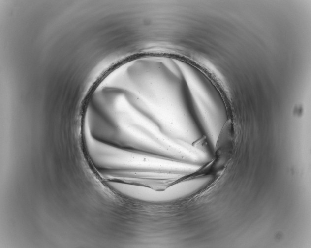 X0000093101376200710241212