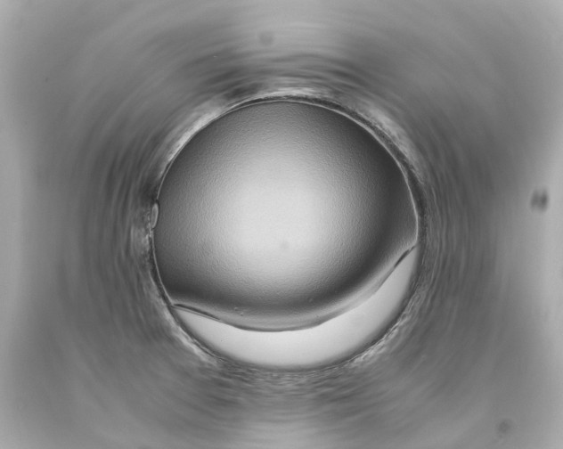 X0000093101377200710241212