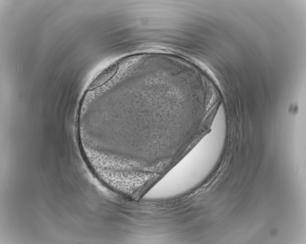 X0000093101379200710241212