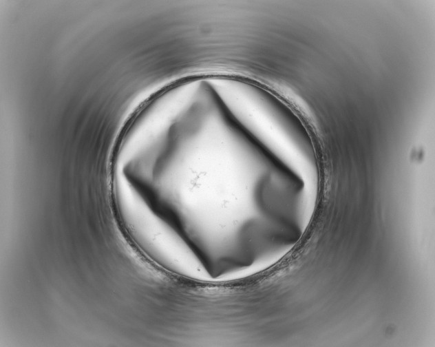 X0000093101380200710241212