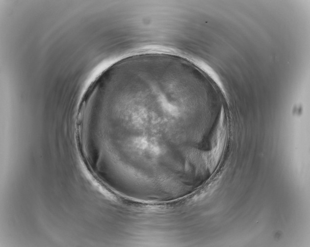 X0000093101381200710241212