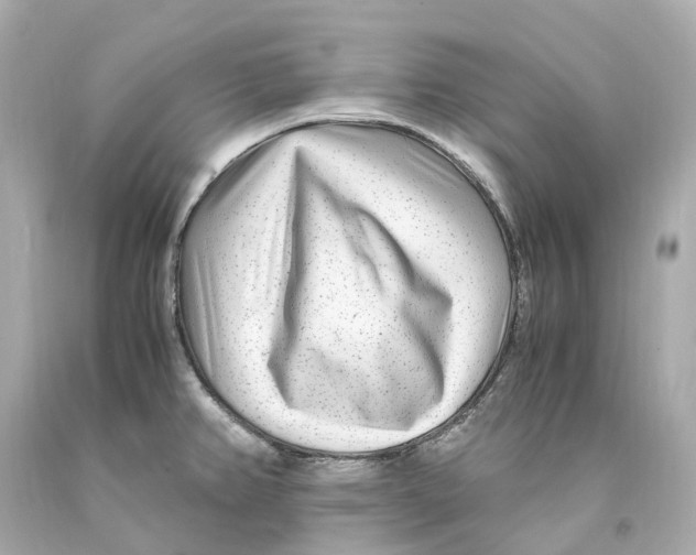 X0000093101382200710241212