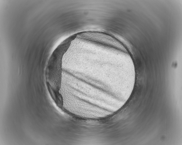 X0000093101383200710241212