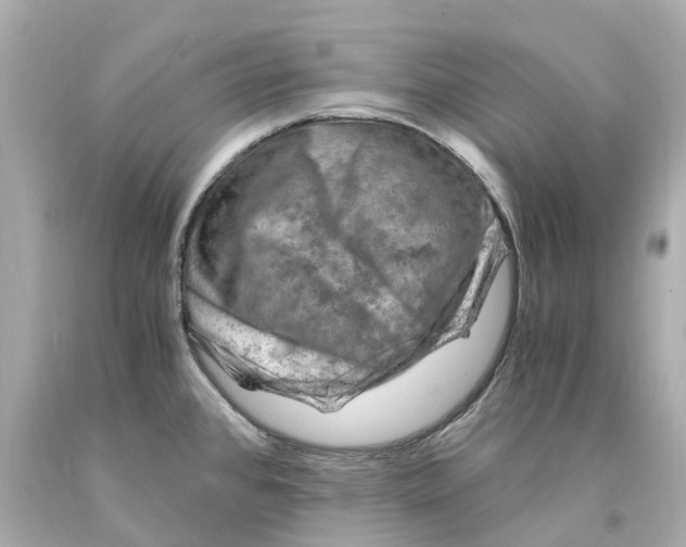 X0000093101384200710241212