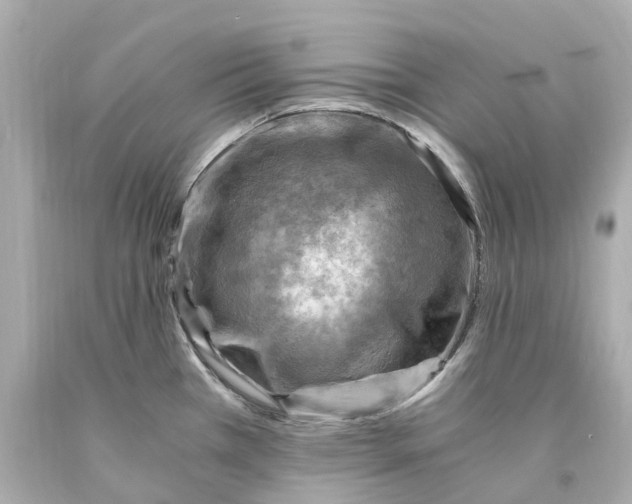 X0000093101385200710241212