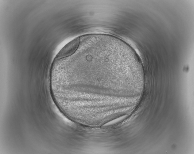 X0000093101387200710241212