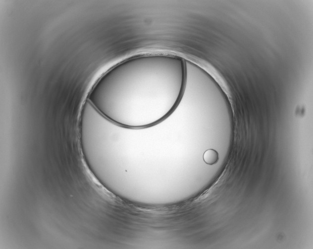 X0000093101388200710241212