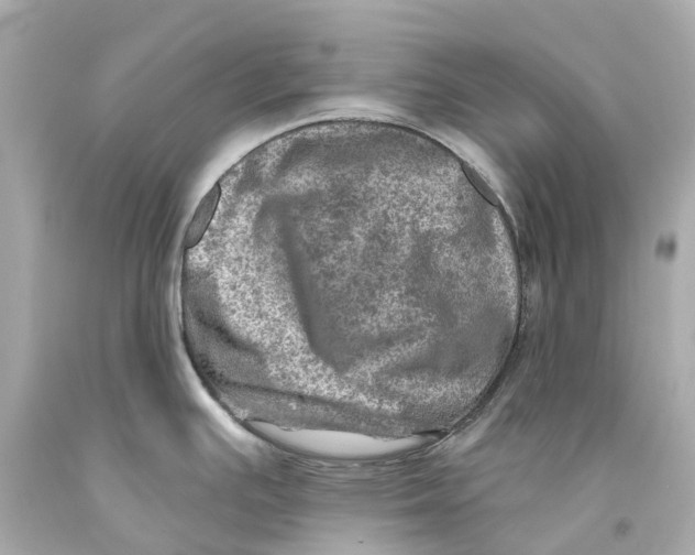 X0000093101391200710241212