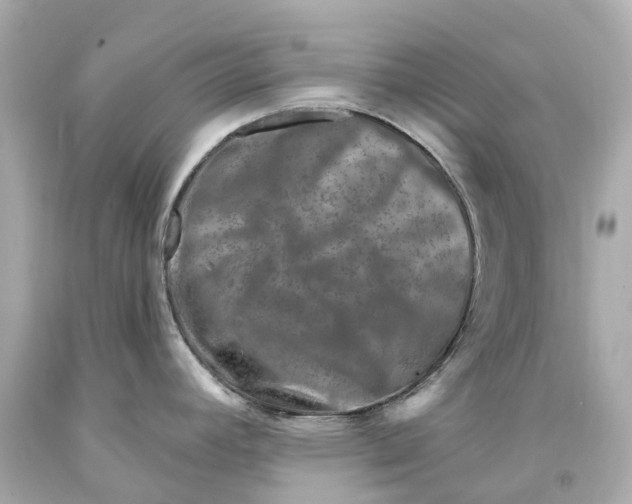 X0000093101392200710241212