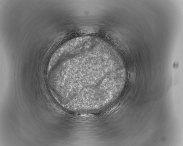 X0000093101393200710241211