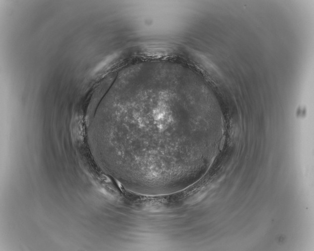 X0000093101394200710241211