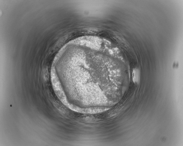 X0000093101395200710241211