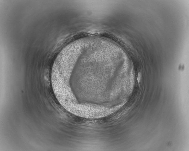 X0000093101396200710241211