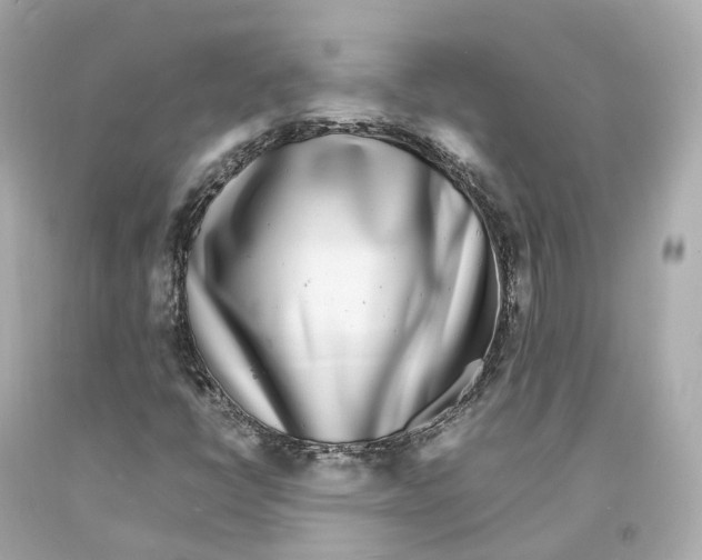 X0000093101398200710241211