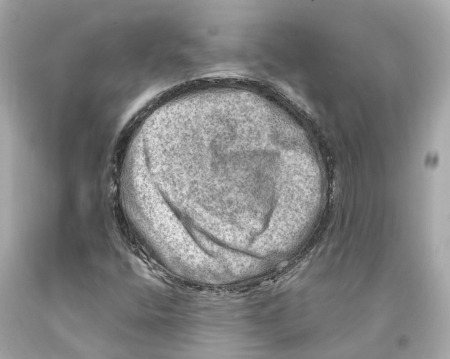 X0000093101400200710241211