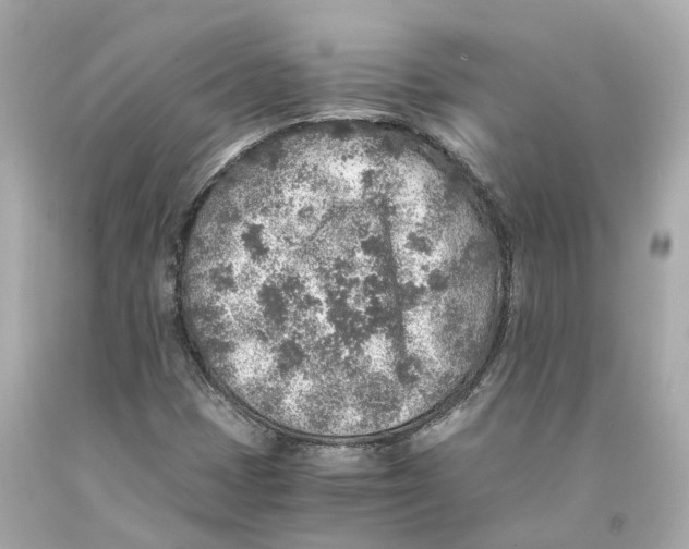 X0000093101401200710241211