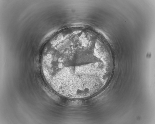 X0000093101403200710241211