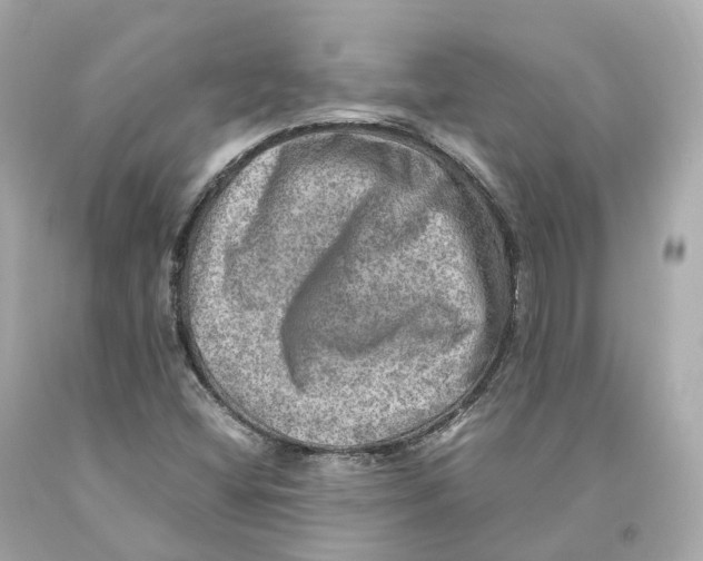X0000093101404200710241211