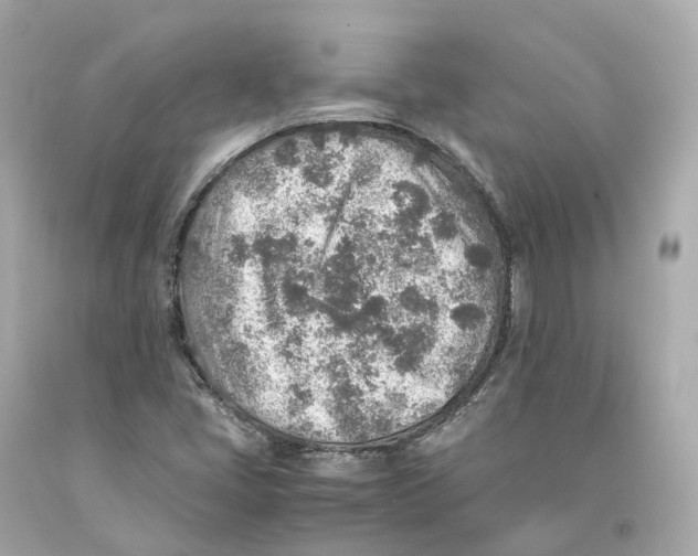 X0000093101405200710241211