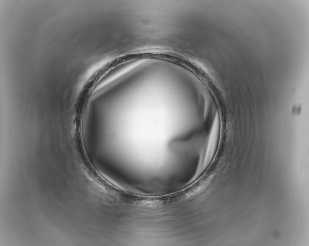 X0000093101406200710241211