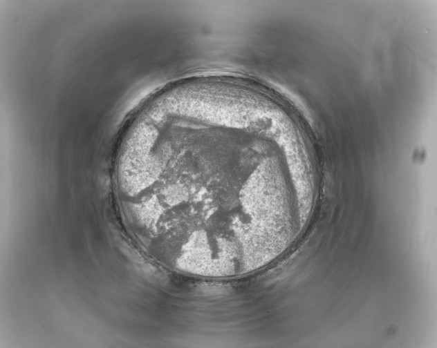 X0000093101407200710241211