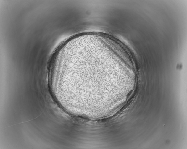 X0000093101408200710241211