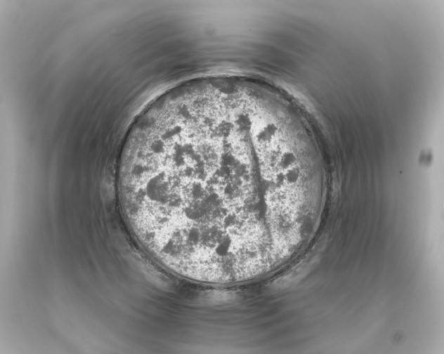 X0000093101409200710241211