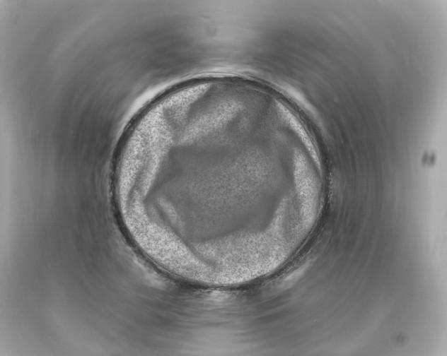 X0000093101412200710241211