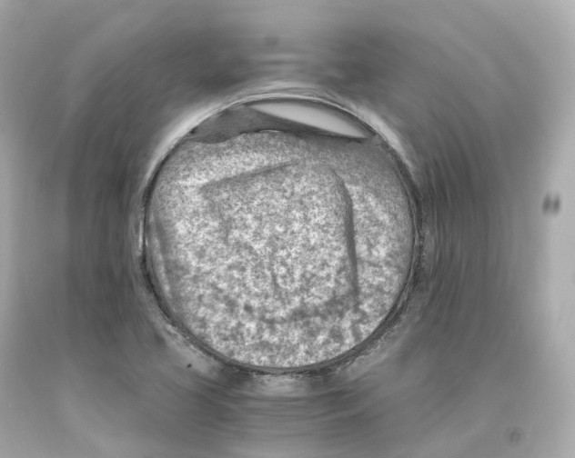 X0000093101413200710241211