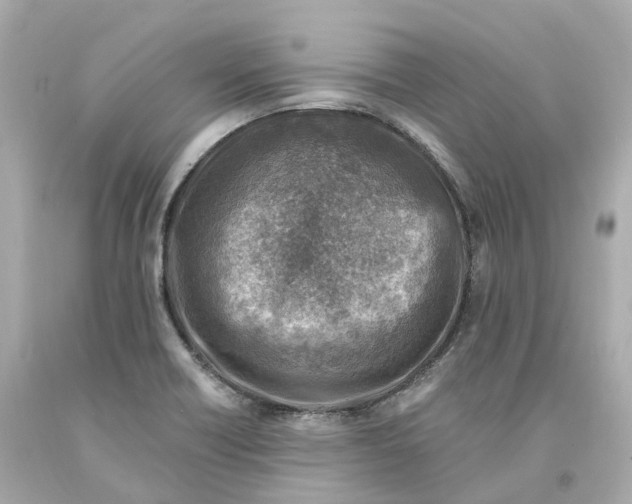 X0000093101418200710241211