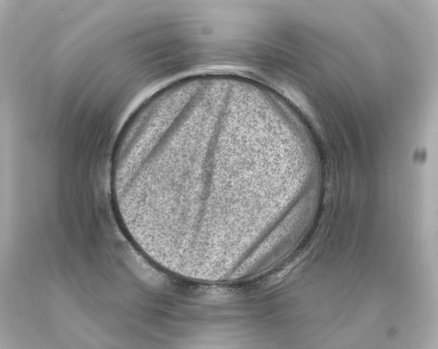 X0000093101420200710241212