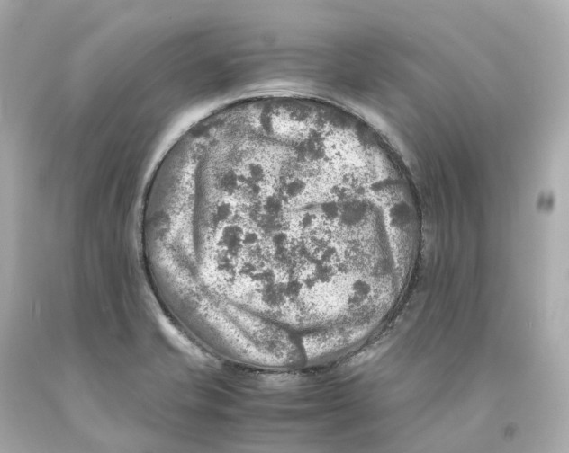 X0000093101421200710241212