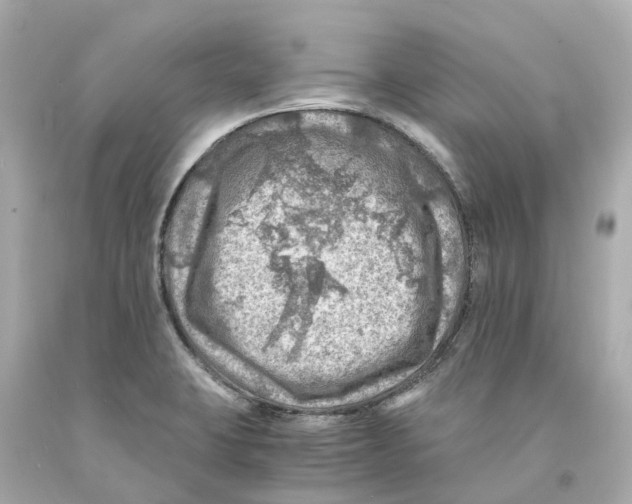 X0000093101423200710241212