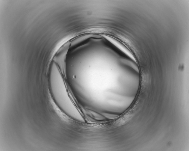 X0000093101426200710241212